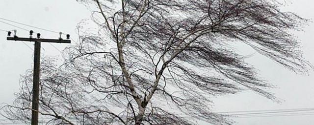 В Удмуртии 9 марта ожидается усиление ветра