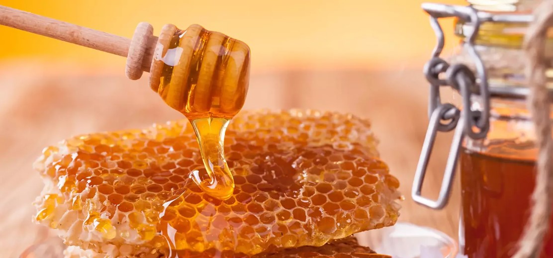 Липецкие пчеловоды собрали в 2022 году свыше 700 тонн мёда