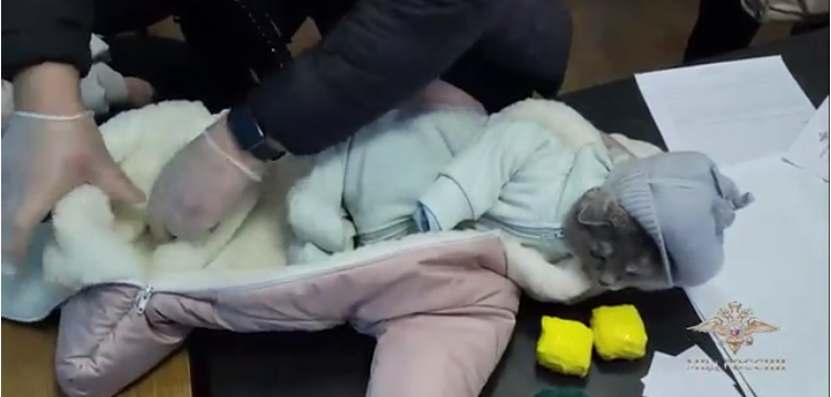 В Нижнем Тагиле наркозакладчица нарядила кошку в детский комбинезон и спрятала туда мефедрон — Видео