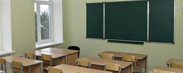 В Новосибирске третьеклассники гимназии №10 не вышли на занятия в знак протеста против травли педагога