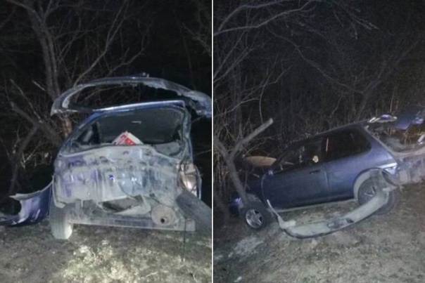 В Приморье двое детей погибли в ДТП на угнанном автомобиле