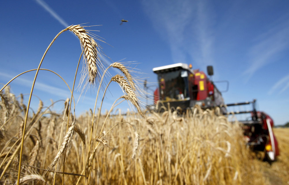 Три региона России получат более 800 млн рублей для обновления мощностей сельхозпредприятий