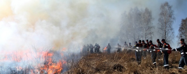 В Новосибирской области ввели особый противопожарный режим 24 апреля
