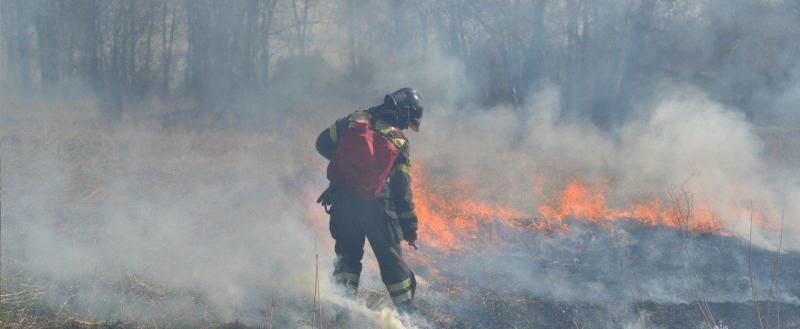 В Приморье разгорелся крупный пожар в деревоперерабатывающем цехе