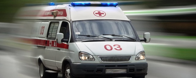Глава Брянской области Богомаз поздравил сотрудников скорой помощи с профессиональным праздником