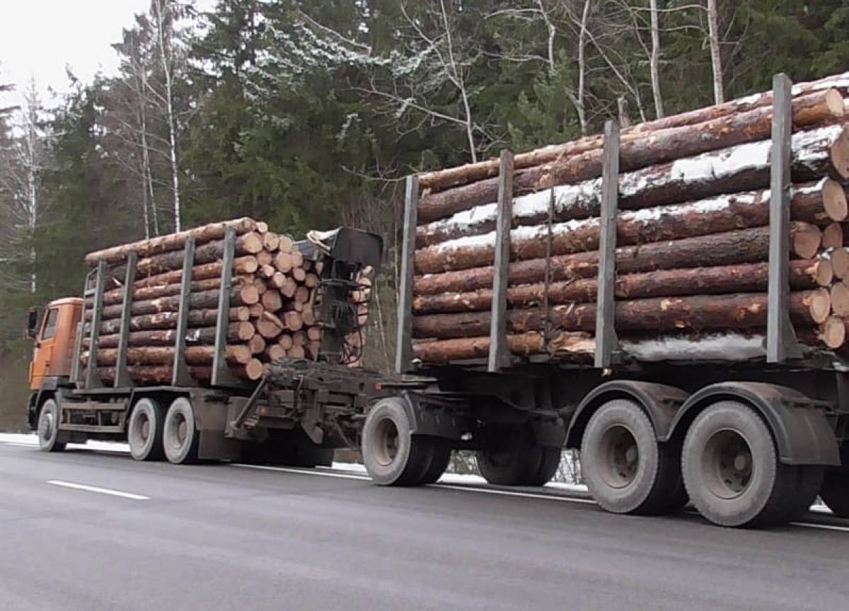 В Мордовии водителя грузовика оштрафуют за неправильную перевозку леса