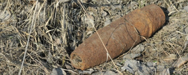 На территории усадьбы «Архангельское» обнаружили боеприпас времен ВОВ