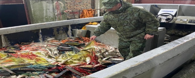 В Ростовской области задержаны браконьеры с уловом на 6 млн рублей