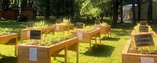 Музей «Архангельское» рассказал о своей Школе юного садовода, которая откроется 1 июня