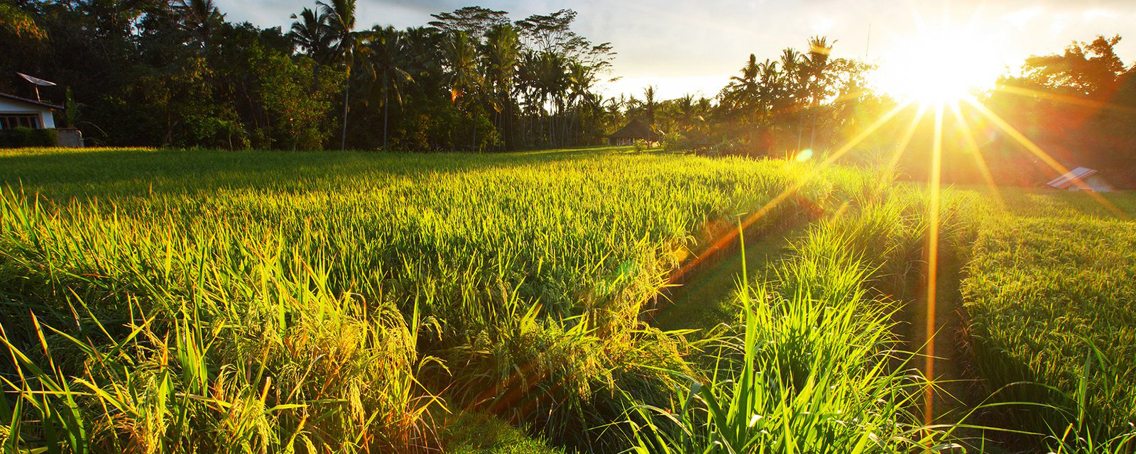 лето 2024 года будет теплым