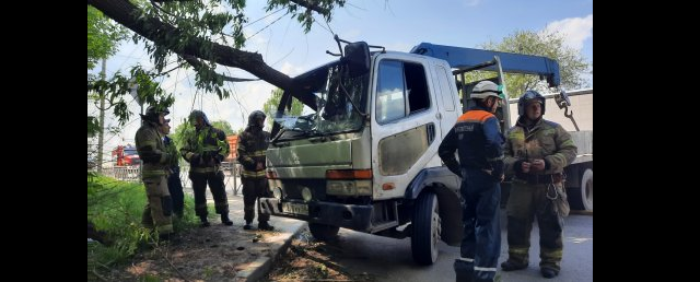 В Пензе водитель машины-манипулятора погиб в ДТП с деревом