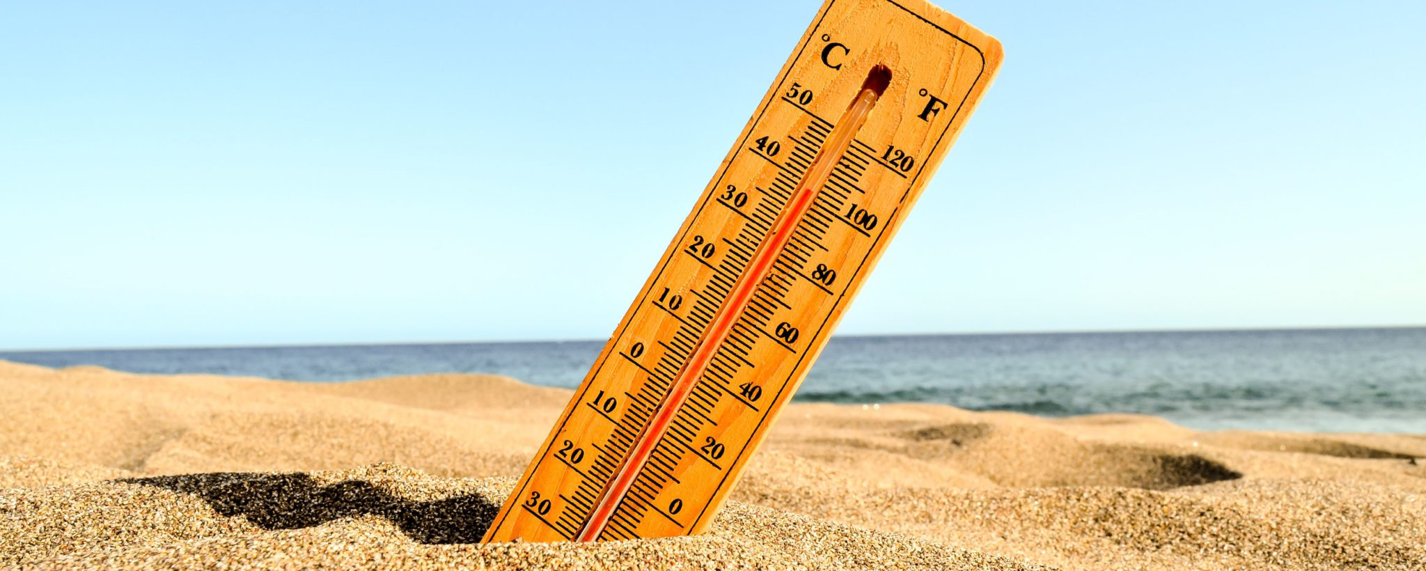 Климатолог Кокорин заявил, что самым жарким годом за всю историю может стать 2025-й или 2026-й