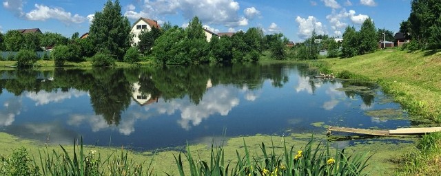 Дьяковская Поляна в Вологодской области