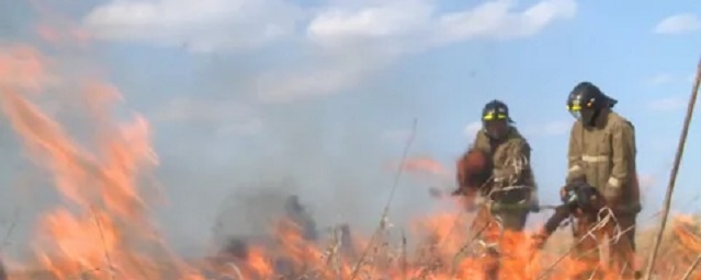 В Приамурье из-за лесных пожаров ввели режим ЧС