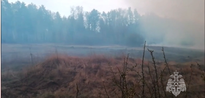 На Екатеринбург надвигается облако дыма из-за пожаров