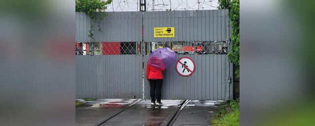 В Краснодаре «Трамвай Победы» отменили постфактум из-за непрекращающегося дождя