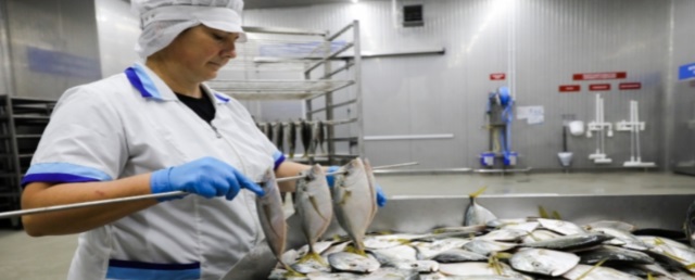 В Волгоградской области наблюдается рост производства рыбной продукции
