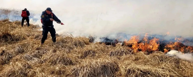 Спасатели ЯНАО тушат три лесных пожара