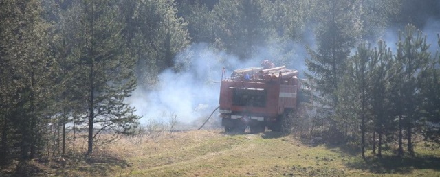 Площадь природных пожаров в Свердловской области сократилась за сутки на 68%