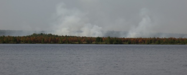 В правительстве РФ Свердловскую область охарактеризовали как один из самых пожароопасных регионов