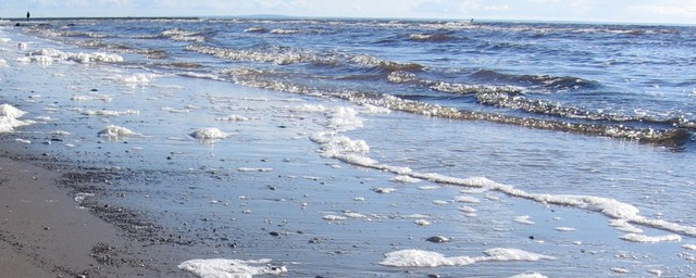 Роспотребнадзор выявил в Северодвинске водоёмы, которые соответствуют гигиеническим нормам