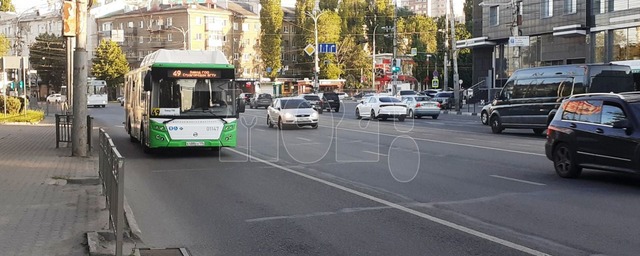 В Воронеже на время «Черноземфеста» запустят два дополнительных автобусных маршрута