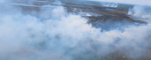 Прокуратура Магаданской области заинтересовалась лесными пожарами, которые возникли в регионе