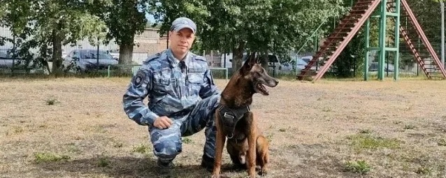 В Ачинске полицейские с собакой нашли преступника, ранившего знакомого отверткой