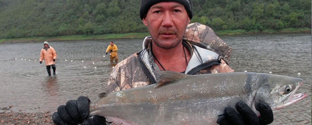 В Магаданской области на 15 участках рыбаки смогут ловить по три хвоста горбуши