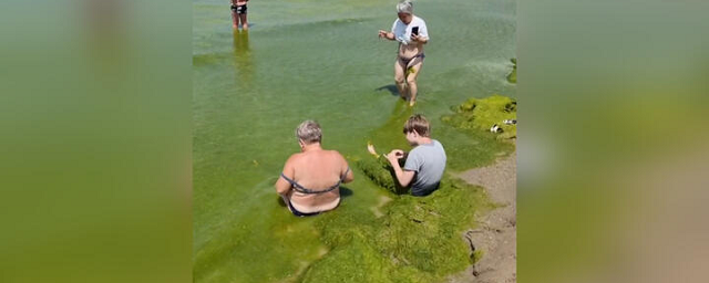 В Анапе туристы не могут купаться в мое из-за цветения водорослей
