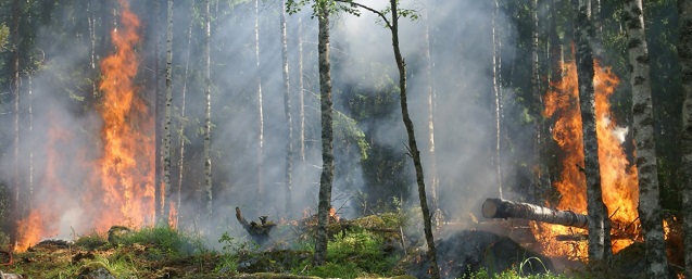 На Южном Урале был отмене особый противопожарный режим