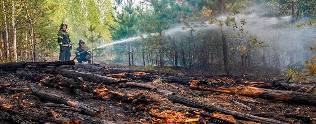 В Красноярском крае отменен особый противопожарный режим