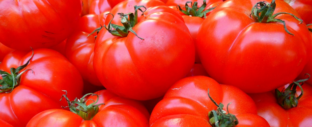 В Челябинскую область завезли 23 тонны зараженных помидоров и слив