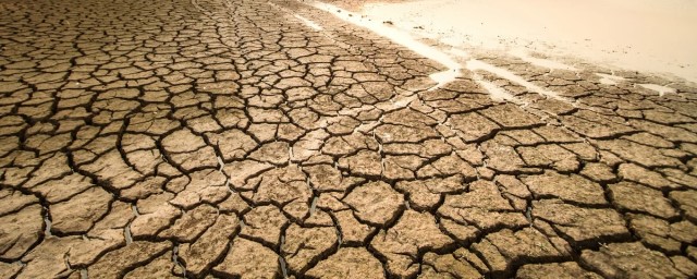 Глава Чувашии Николаев: Режим ЧС в регионе введен из-за почвенной засухи