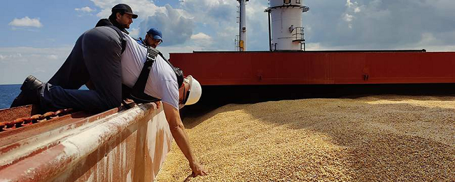ООН: бедные страны получили 2,5% продовольствия в рамках зерновой сделки