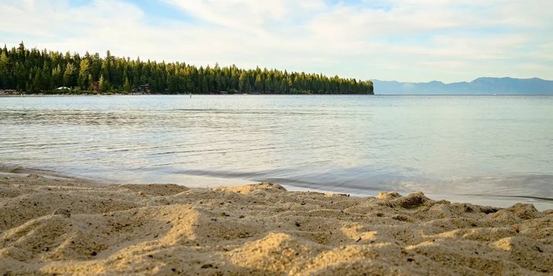 На пляжах Новгородской области для детей проведут бесплатные уроки плавания