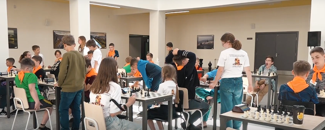 В Красногорске ко Дню шахмат устроили мастер-класс и дружеский поединок
