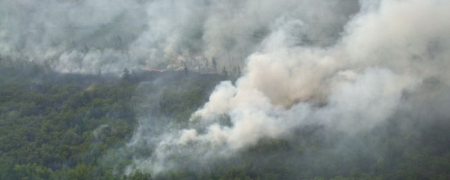 В ХМАО введён режим ЧС из-за лесных пожаров