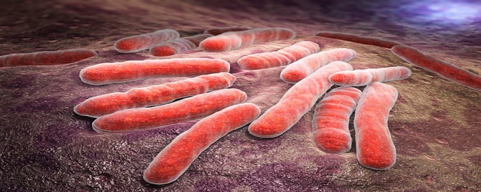 Эксперты университета «Сириус» отметили эффективность новой вакцины от туберкулёза