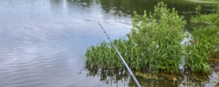 В Ивановской области подросток погиб на рыбалке, задев удочкой линию электропередач