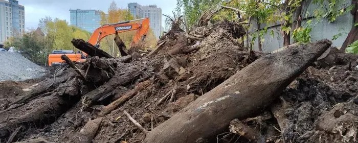 Активисты из Екатеринбурга нашли остатки усадеб XIX века на месте строительства гостиницы