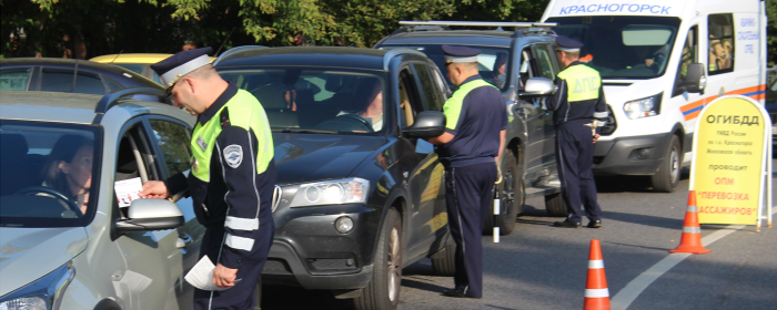 В Красногорске провели акцию «Маленький пассажир – большая ответственность»