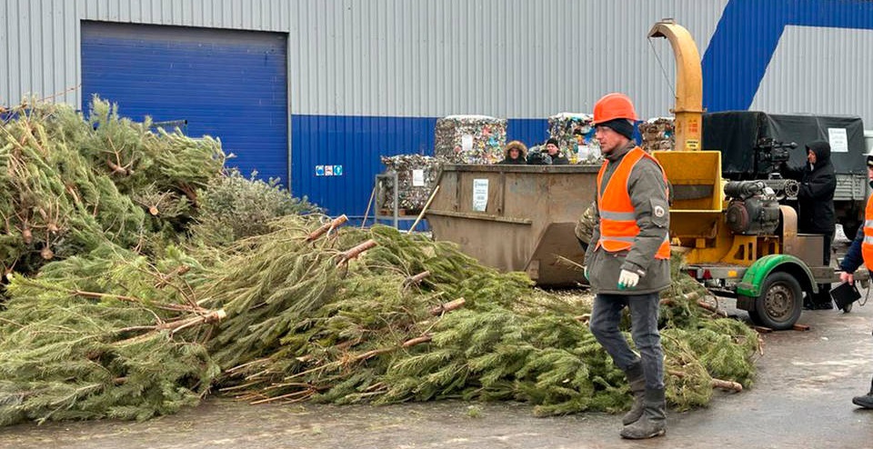 В Волгоградской области  в рамках акции «Елки-щепки» 2000 новогодних деревьев измельчили в щепу