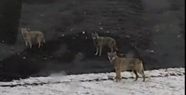 информационное табло в аэропорту. четверть часа это сколько. и ближе время выхода в. расписание рейсов. четверть часа.