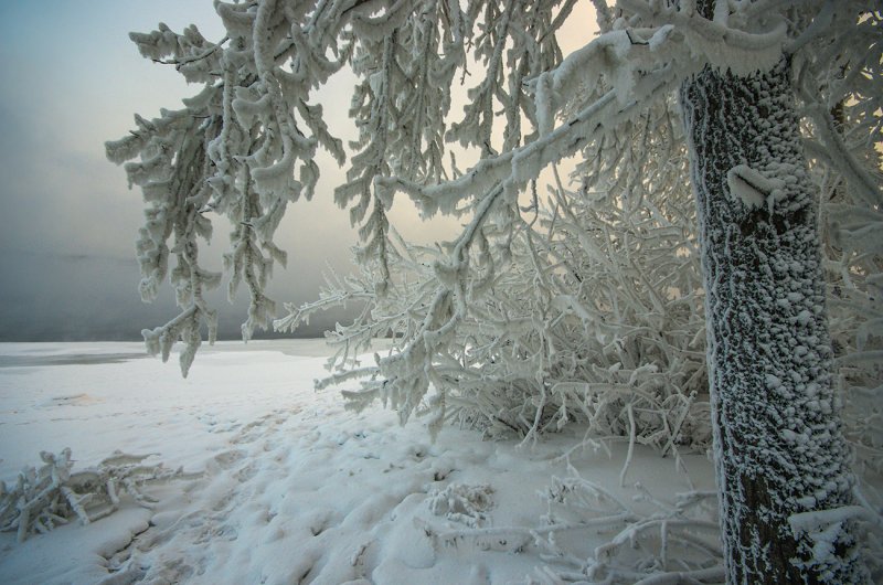 В школах Саратовской области из-за аномальных морозов отменяют занятия 9 января