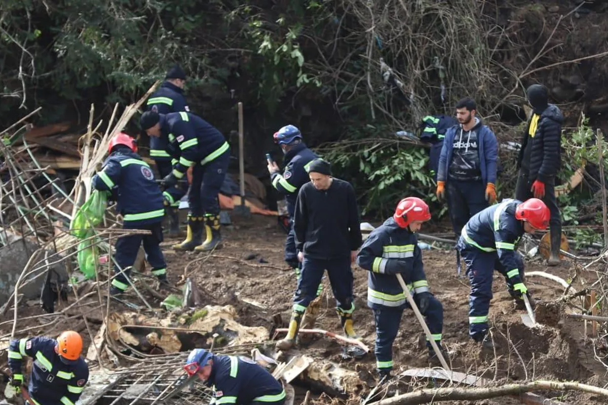 В Грузии спасатели нашли тело последней, девятой жертвы оползня, сошедшего накануне