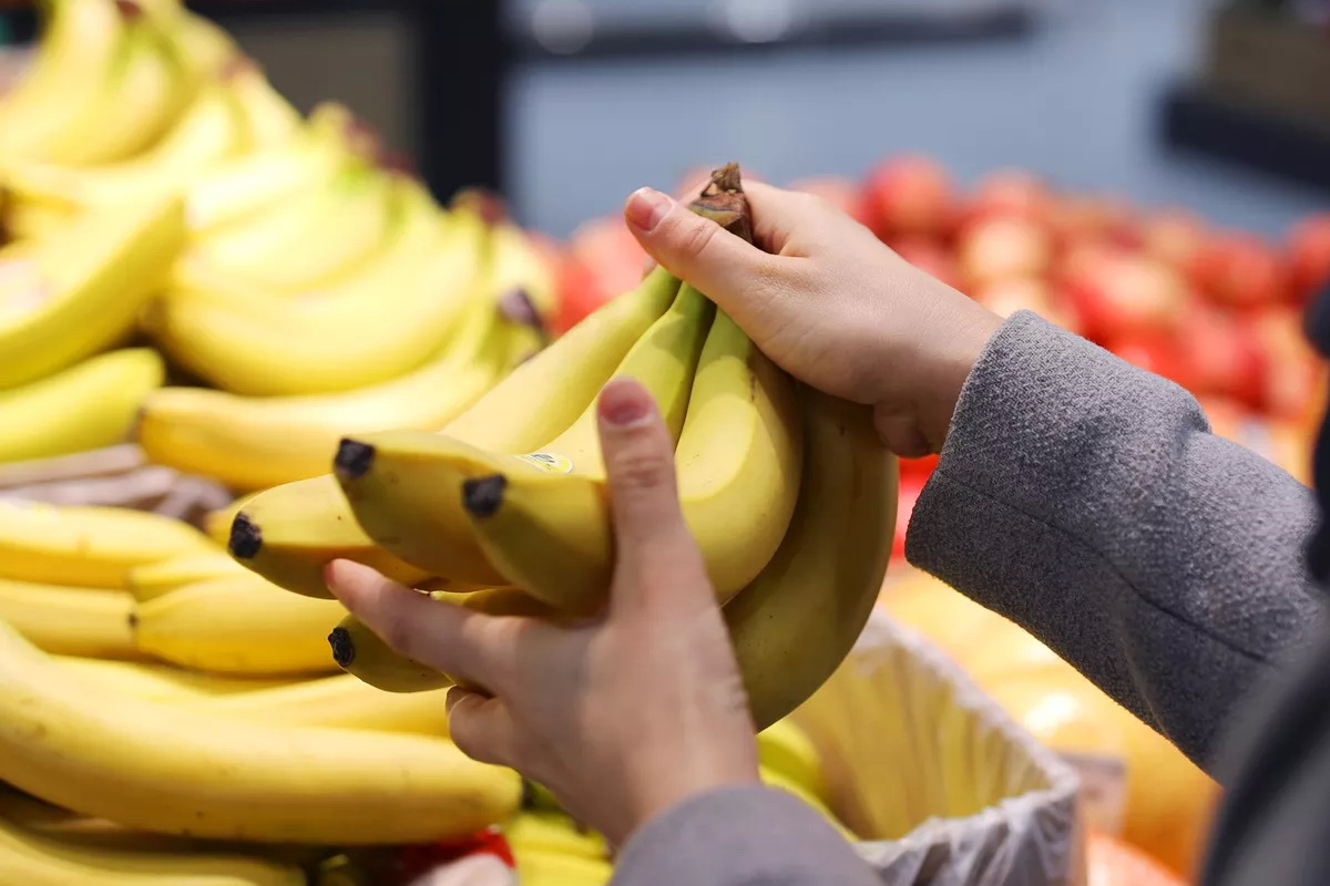 Эквадор планирует увеличить продажу бананов в два раза за счет китайцев