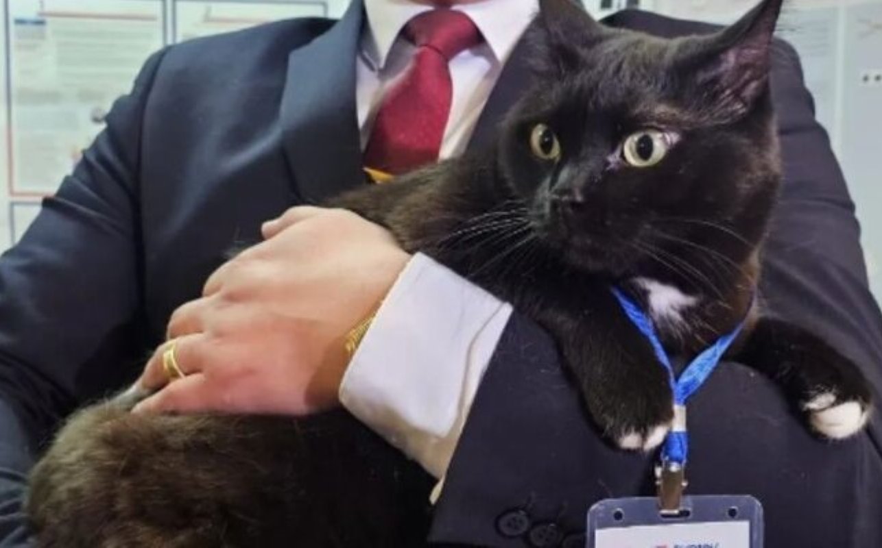 На Ямале кот Кузя стал наблюдателем на выборах президента