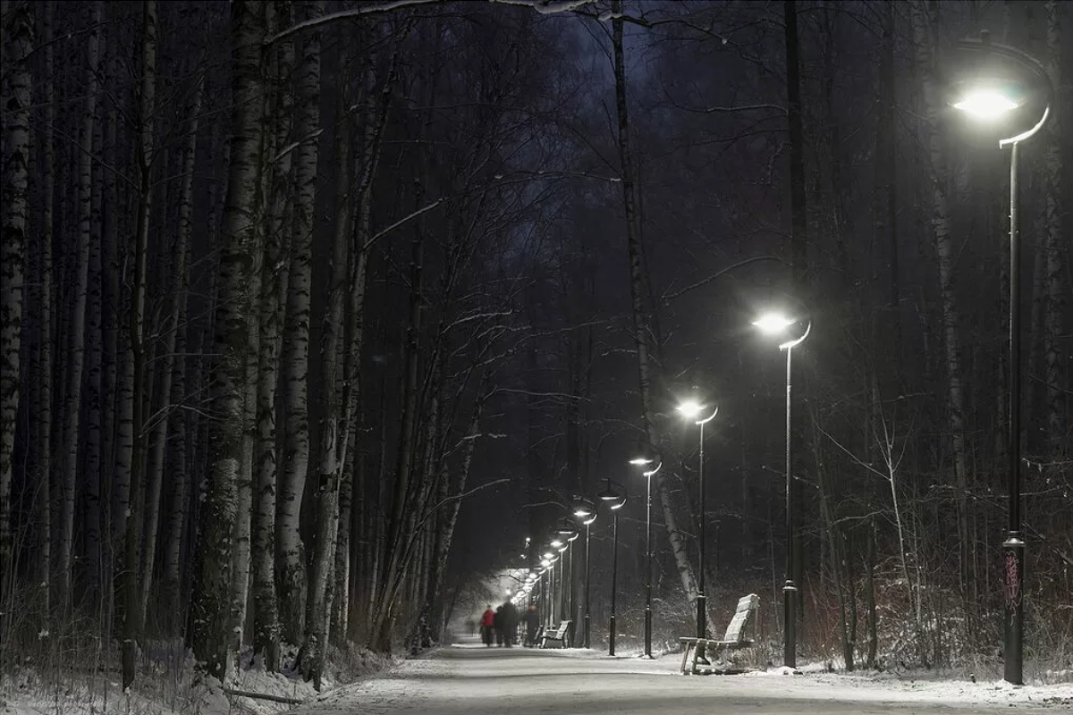 В Петербурге пропавшего три месяца назад мужчину нашли замерзшим