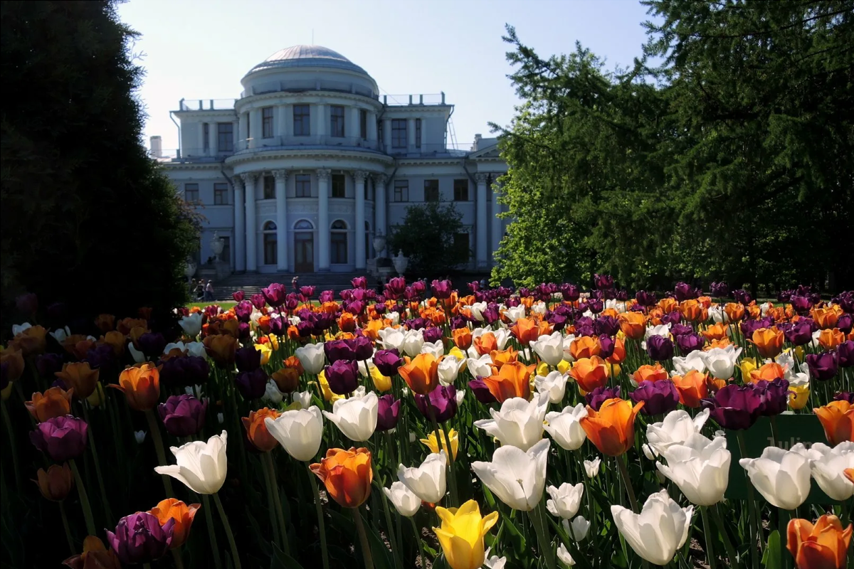 Петербуржцам рассказали, какие интересные события будут происходить в городе весной